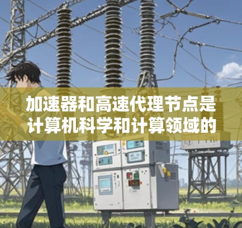 加速器和高速代理节点是计算机科学和计算领域的重要概念，以下是它们的详细分析