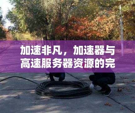加速非凡，加速器与高速服务器资源的完美融合