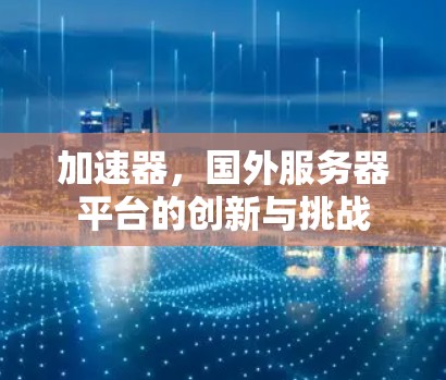 加速器,国外服务器平台的创新与挑战 加速器,国外服务器平台的创新与挑战