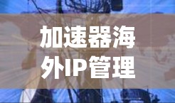 加速器海外IP管理是一个涉及在网络加速器上管理国际IP地址的系统。以下是对该主题的详细分析和总结 加速器海外IP管理是一个涉及在网络加速器上管理国际IP地址的系统。以下是对该主题的详细分析和总结
