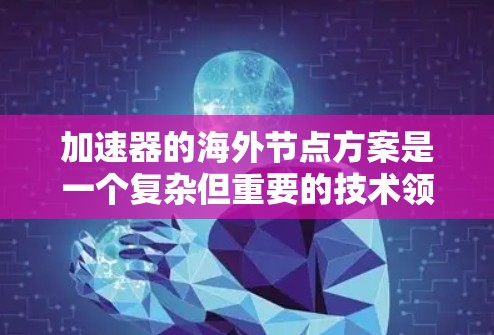 加速器的海外节点方案是一个复杂但重要的技术领域，涉及多个关键方面。以下是逐步的解决方案