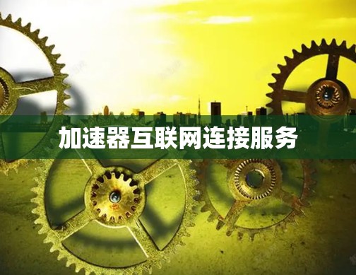 加速器互联网连接服务 加速器互联网连接服务