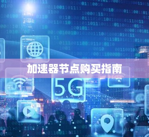 加速器节点购买指南