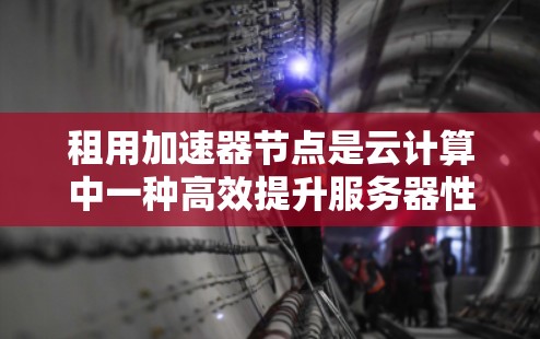 租用加速器节点是云计算中一种高效提升服务器性能的技术,通过加速服务器硬件来加快响应速度和处理能力。以下是对加速器节点租用服务的详细分析和解决方案